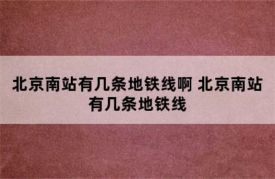 北京南站有几条地铁线啊 北京南站有几条地铁线